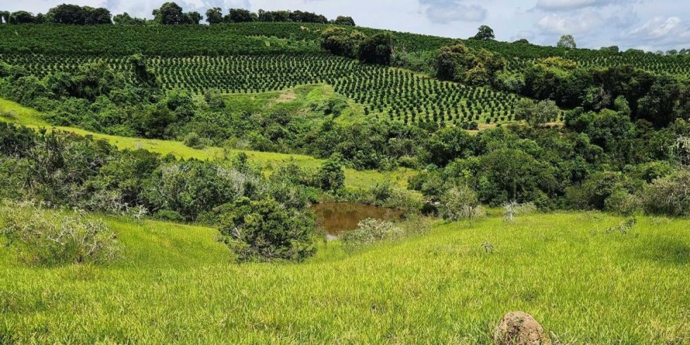 Fazenda à venda, 100m² - Foto 1