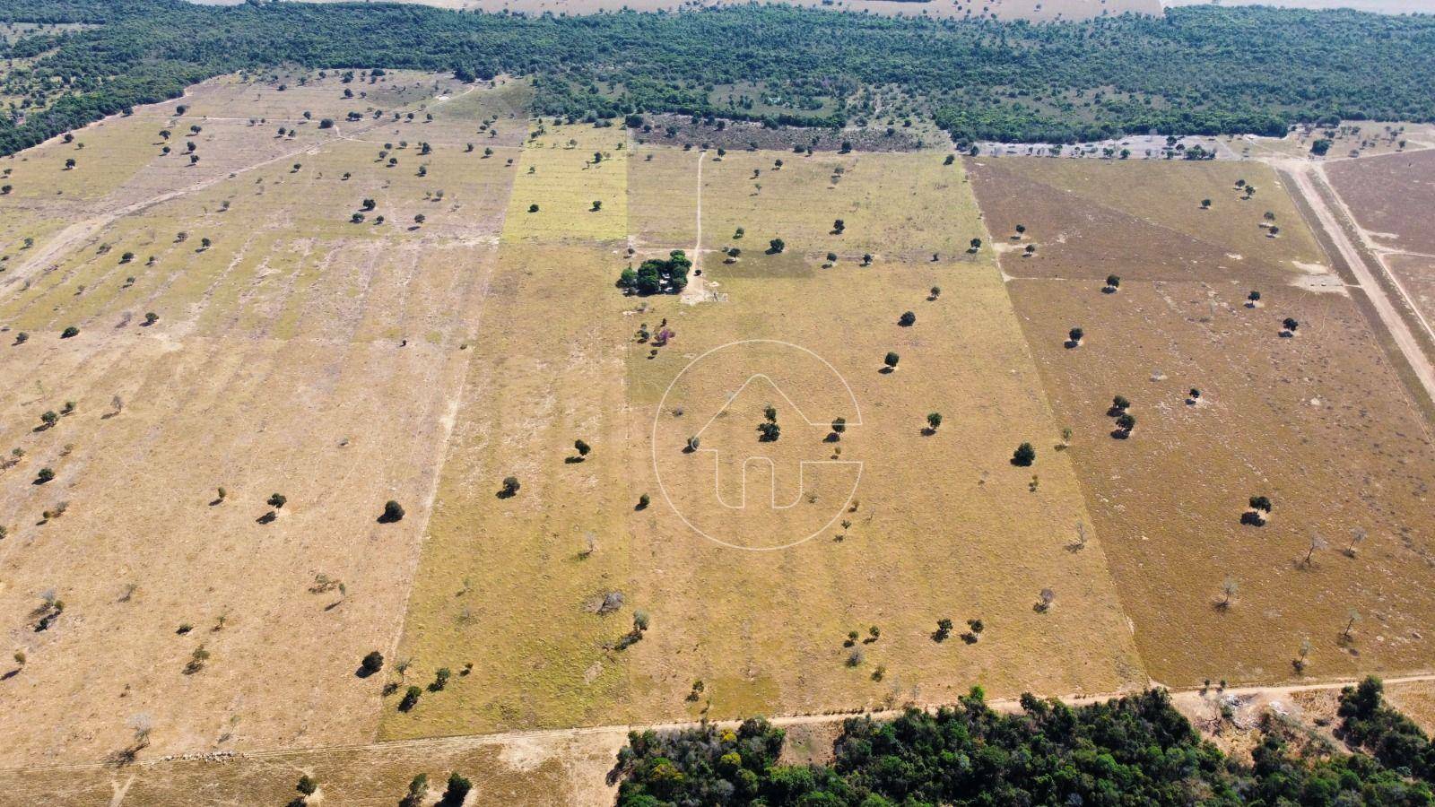 Fazenda à venda, 1000000M2 - Foto 1