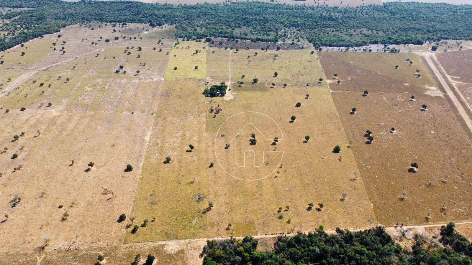 Fazenda à venda, 1000000M2 - Foto 1