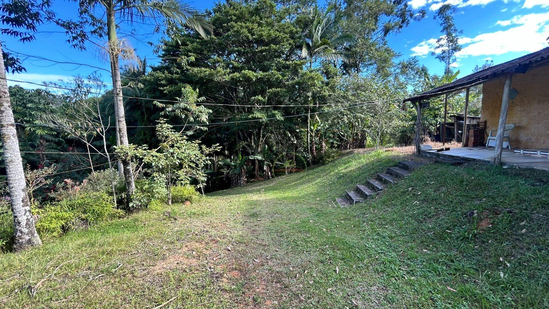 Sítio, 3 hectares - Foto 38