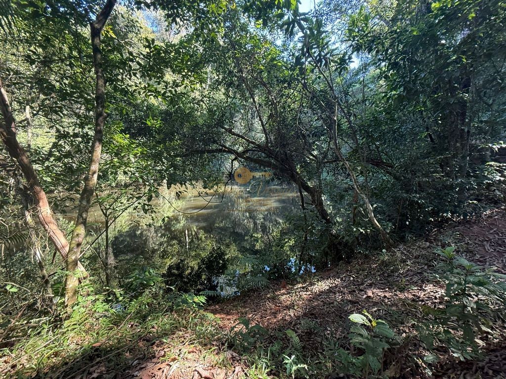 Sítio à venda, 124000m² - Foto 19