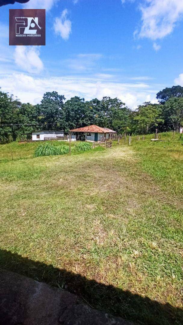 Fazenda à venda com 4 quartos, 1452000M2 - Foto 16