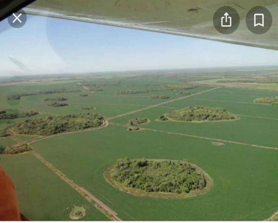 Fazenda à venda - Foto 2