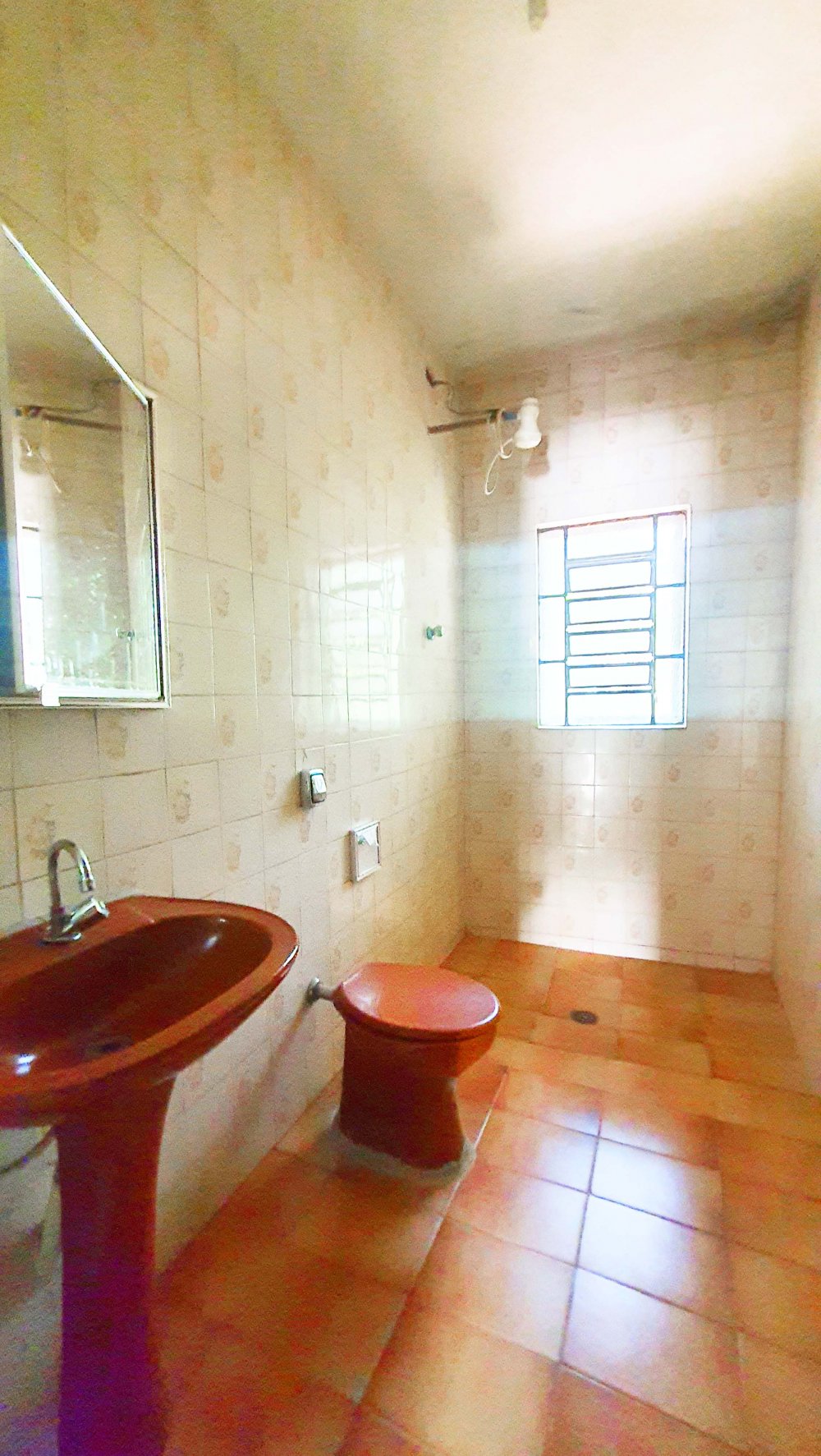 Fazenda à venda com 2 quartos, 881m² - Foto 17