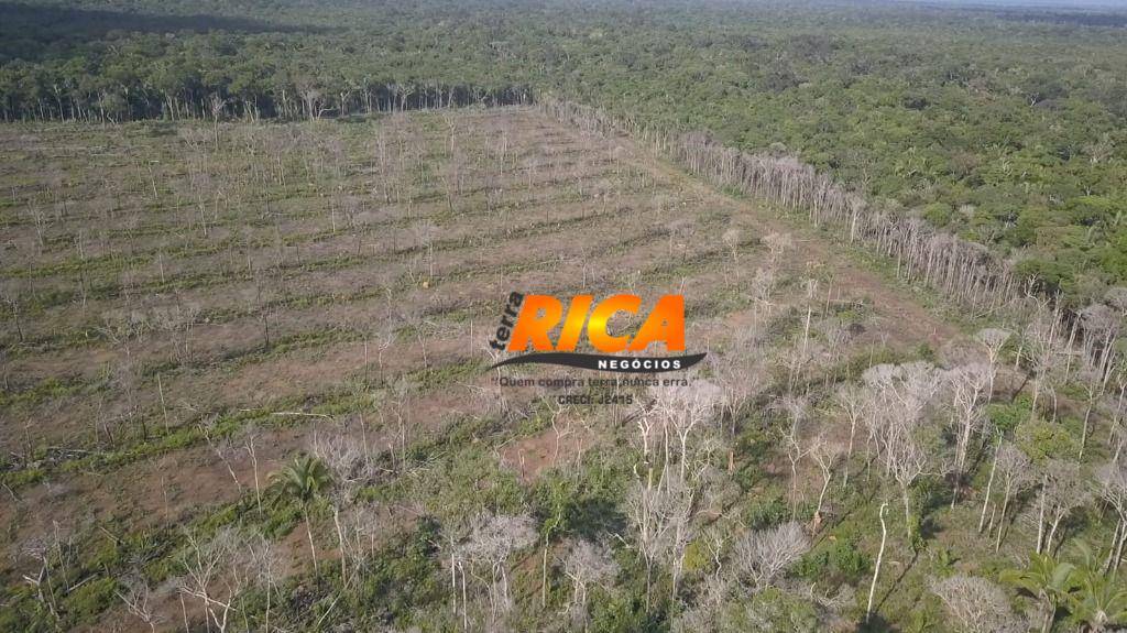 Fazenda, 189 hectares - Foto 4