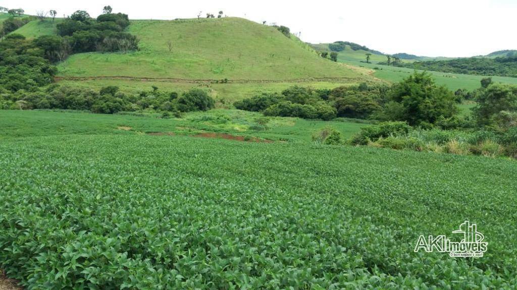Fazenda à venda com 1 quarto, 2819300M2 - Foto 3