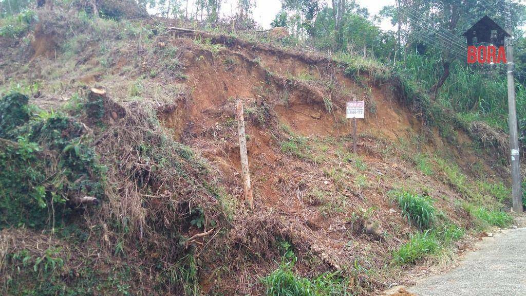 Terreno à venda, 590M2 - Foto 5