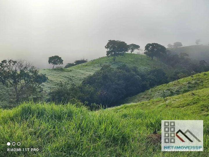 Fazenda à venda, 500m² - Foto 6