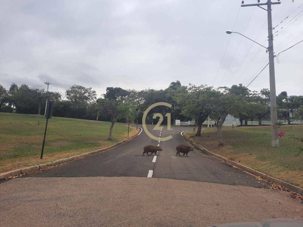 Loteamento e Condomínio à venda, 5000M2 - Foto 40