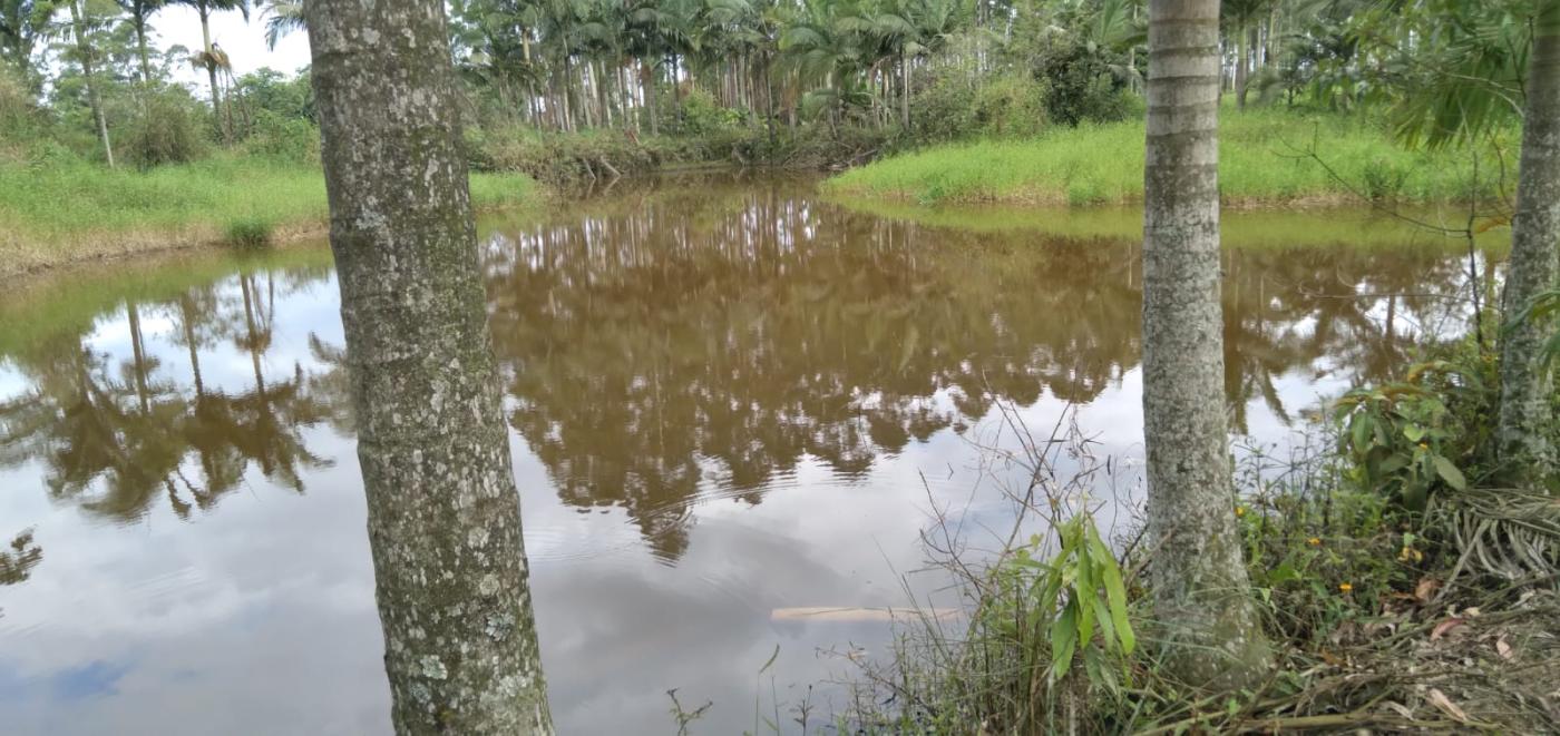 Fazenda à venda, 25000m² - Foto 13