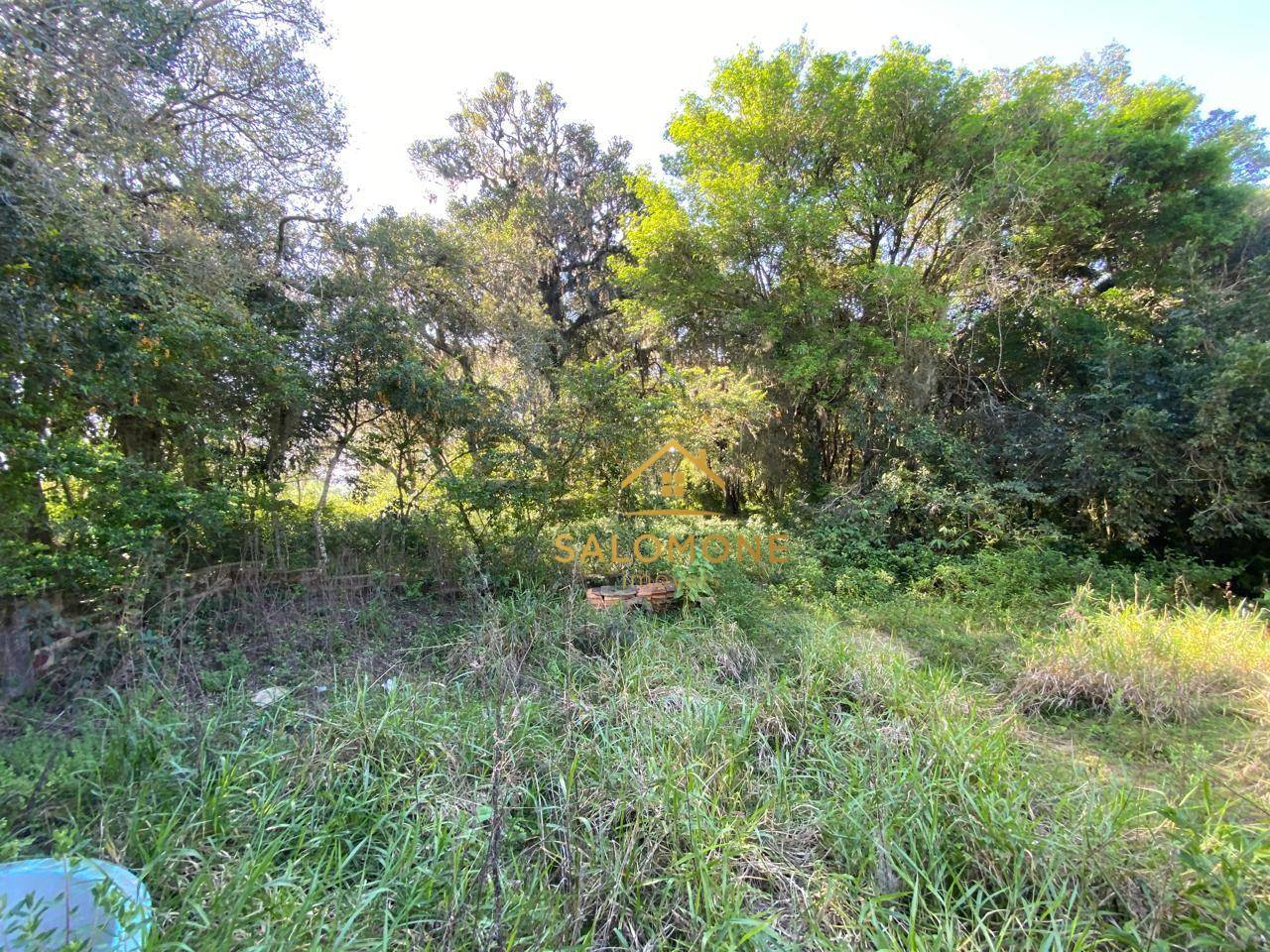 Sítio, 3 hectares - Foto 15