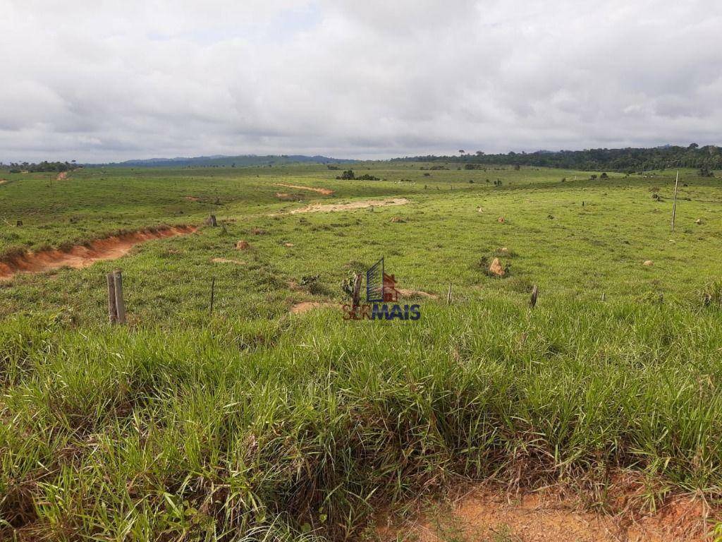 Fazenda à venda com 1 quarto, 31944000M2 - Foto 5