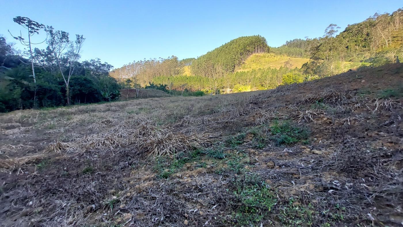 Fazenda à venda com 3 quartos, 140000m² - Foto 21