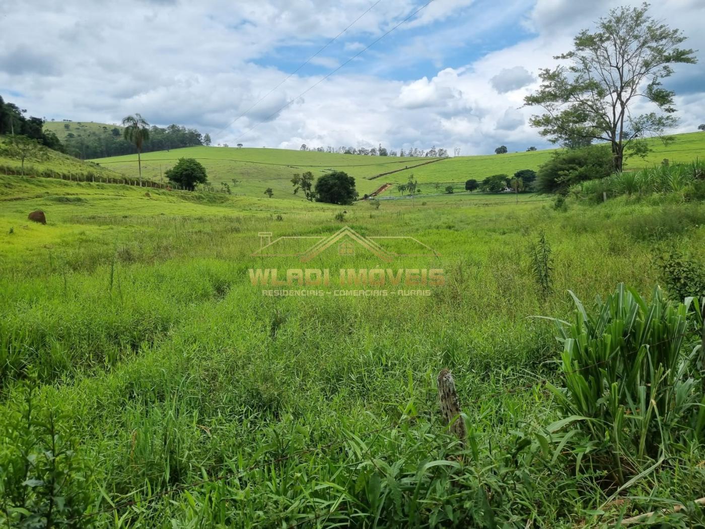 Fazenda à venda, 33m² - Foto 6