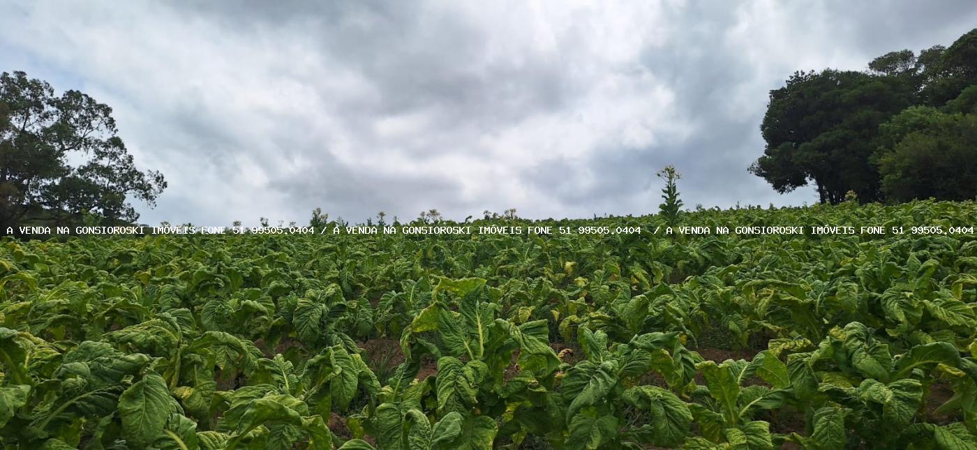 Loteamento e Condomínio à venda, 125000m² - Foto 14