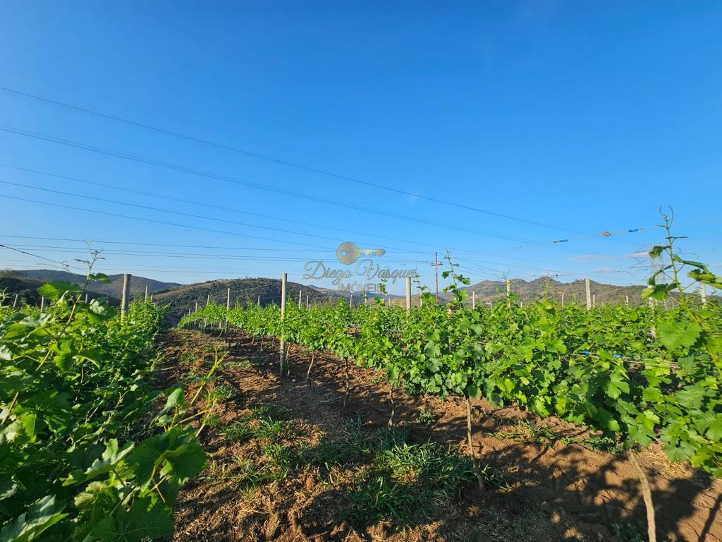 Terreno à venda, 1000m² - Foto 27