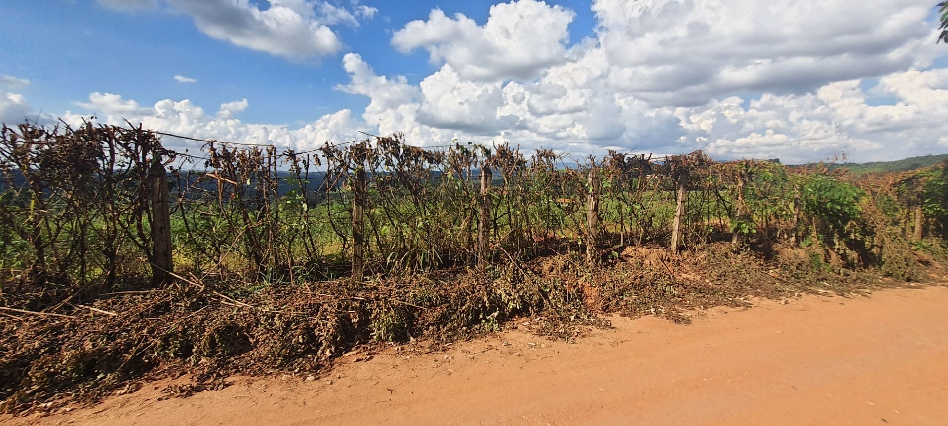 Loteamento e Condomínio à venda, 22553M2 - Foto 11