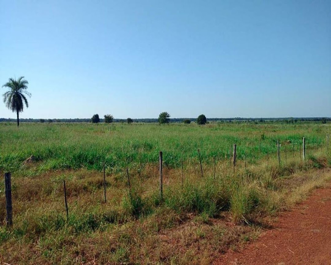 Fazenda à venda - Foto 10