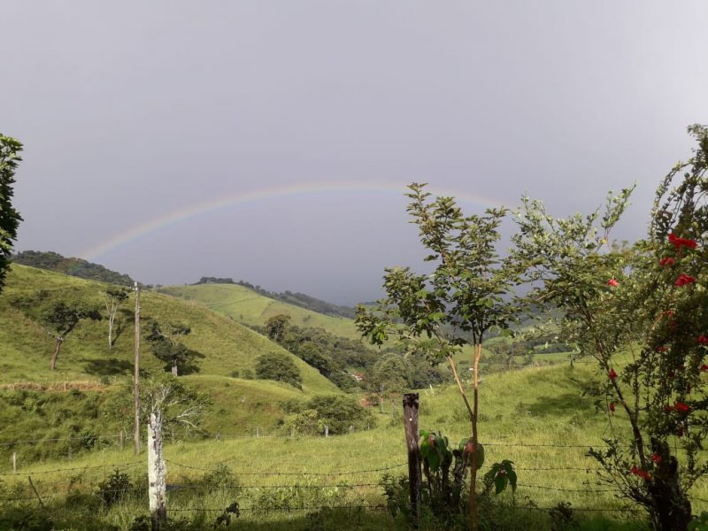 Terreno à venda, 24000m² - Foto 2