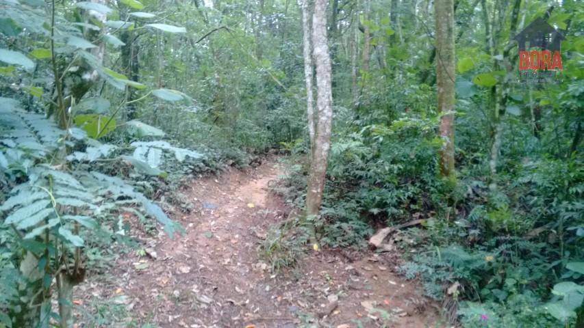 Loteamento e Condomínio à venda, 1700M2 - Foto 1