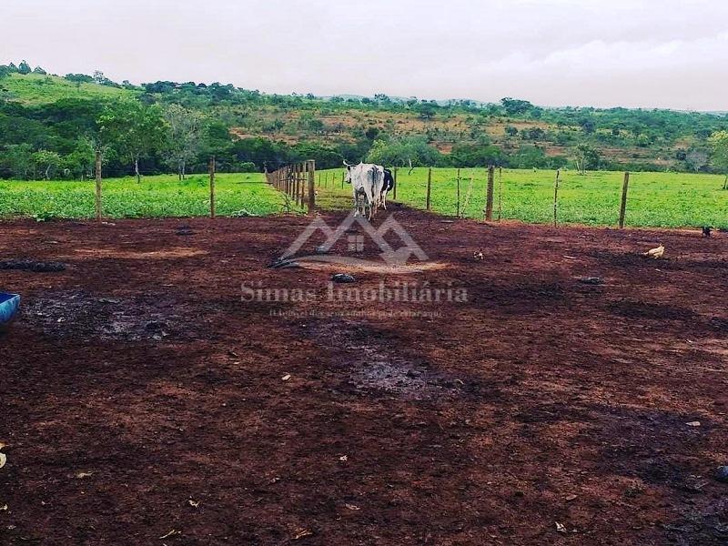 Fazenda à venda com 2 quartos, 47m² - Foto 4