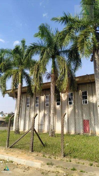 Depósito-Galpão, 4000 m² - Foto 5