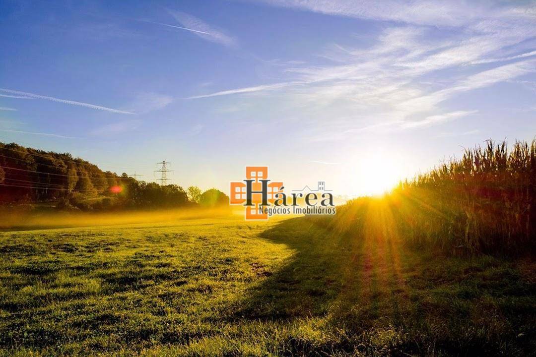 Chácara, 4 quartos, 2480 m² - Foto 8