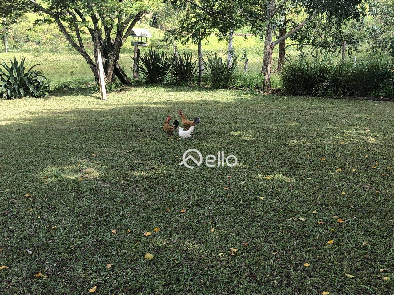 Sítio à venda com 3 quartos, 120000M2 - Foto 20