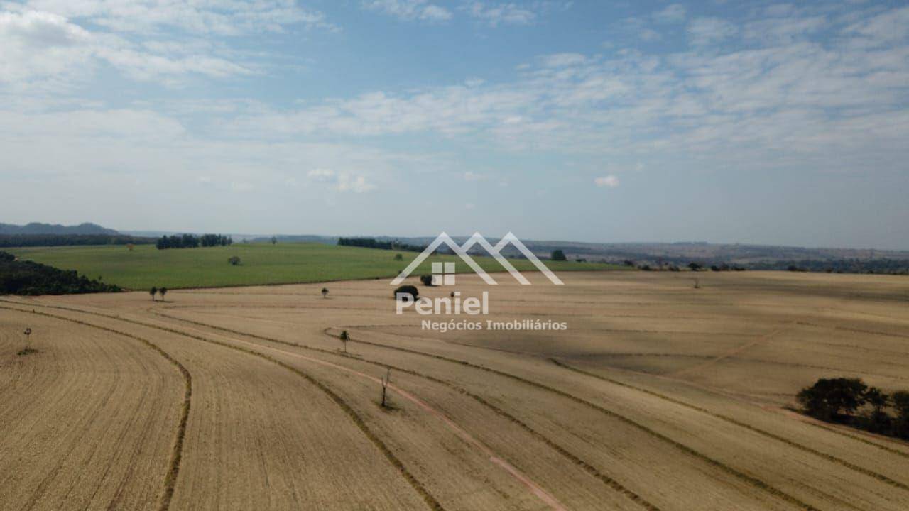 Fazenda-Sítio-Chácara, 456 hectares - Foto 5