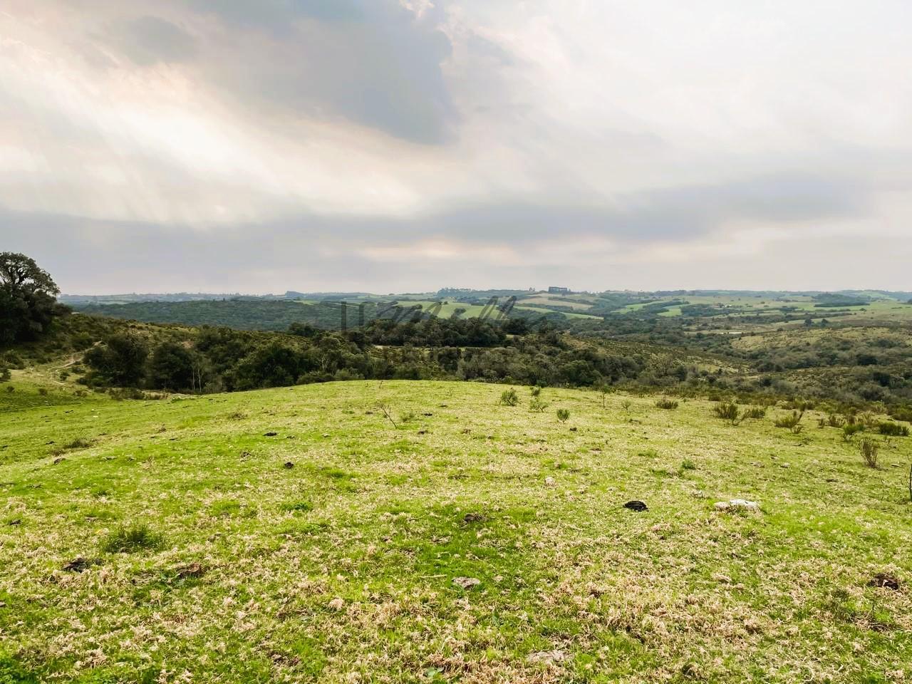 Fazenda à venda, 386m² - Foto 8