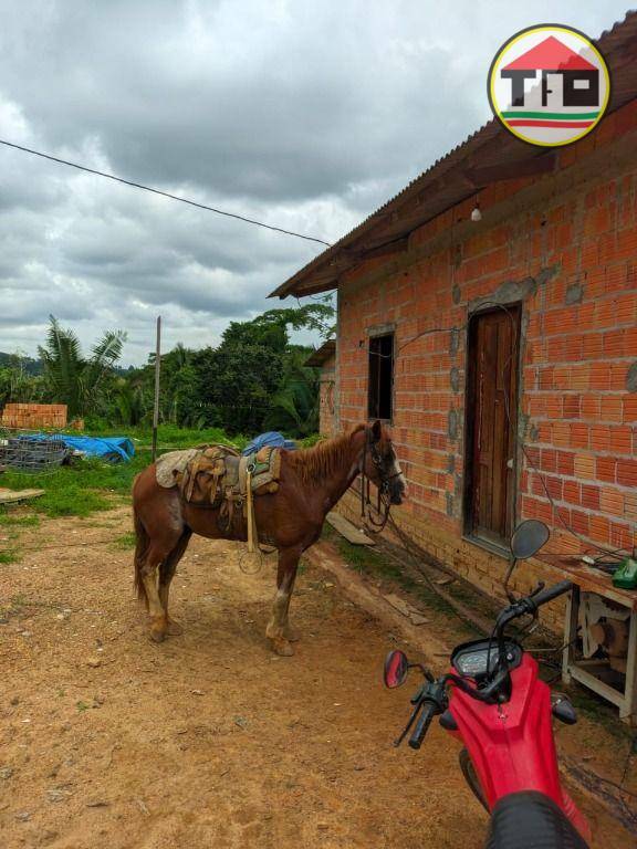 Fazenda à venda, 5324000M2 - Foto 3