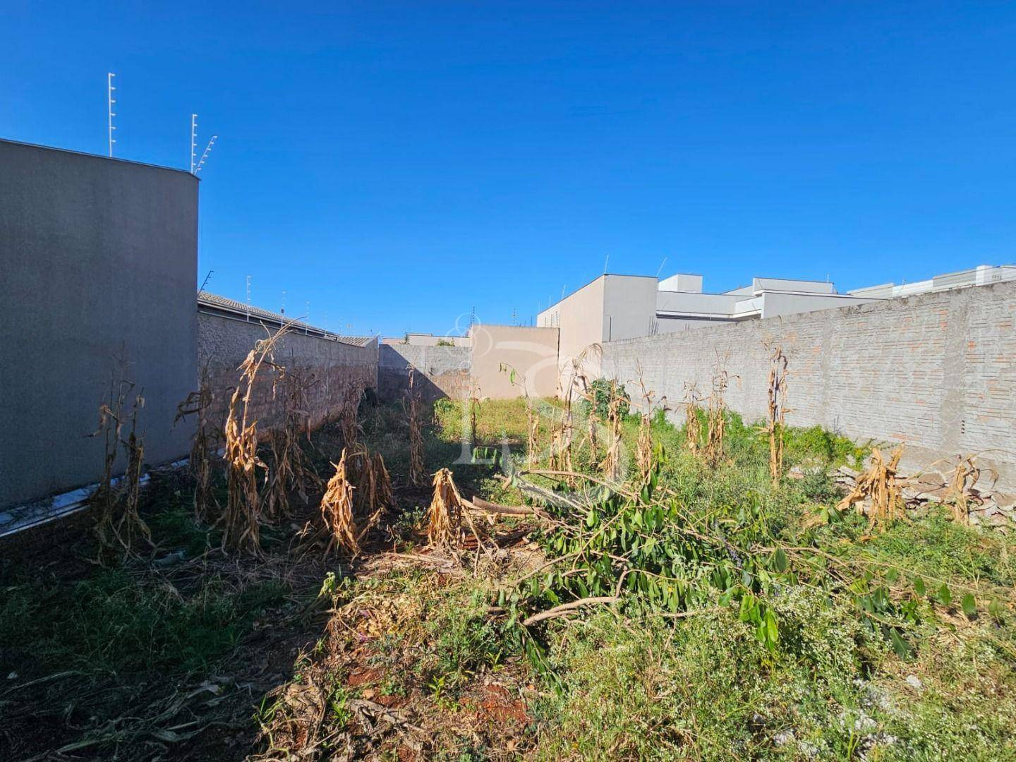 Terreno, 250 m² - Foto 1