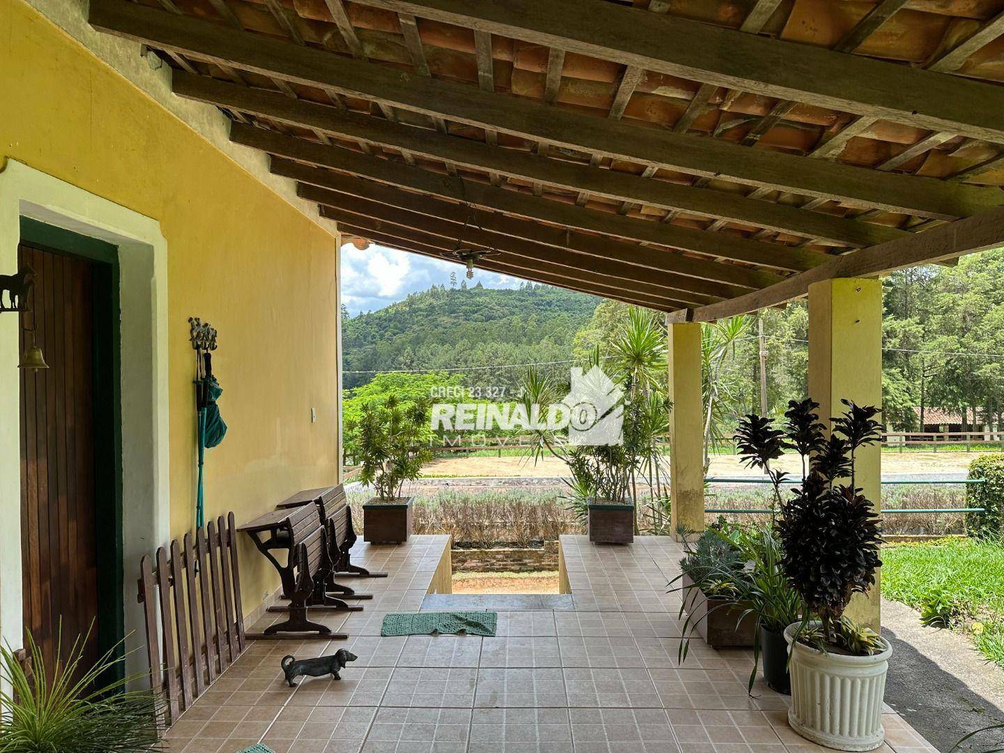 Sítio à venda com 3 quartos, 2920m² - Foto 5