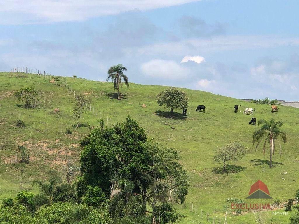 Terreno à venda, 101200M2 - Foto 3