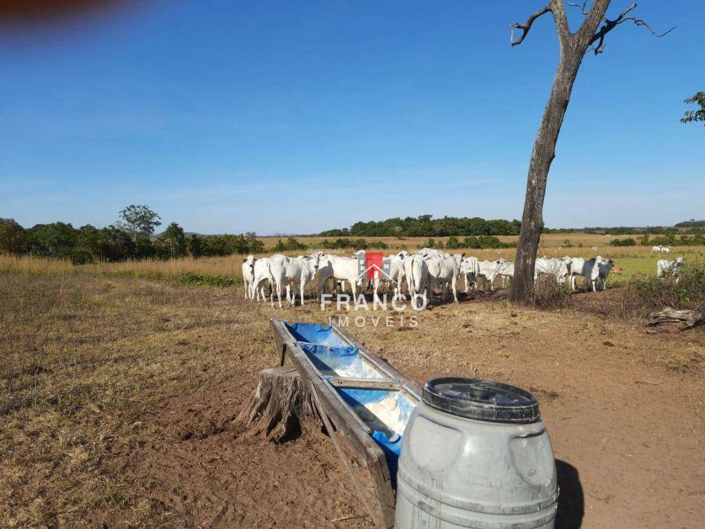 Fazenda-Sítio-Chácara, 2178 hectares - Foto 1