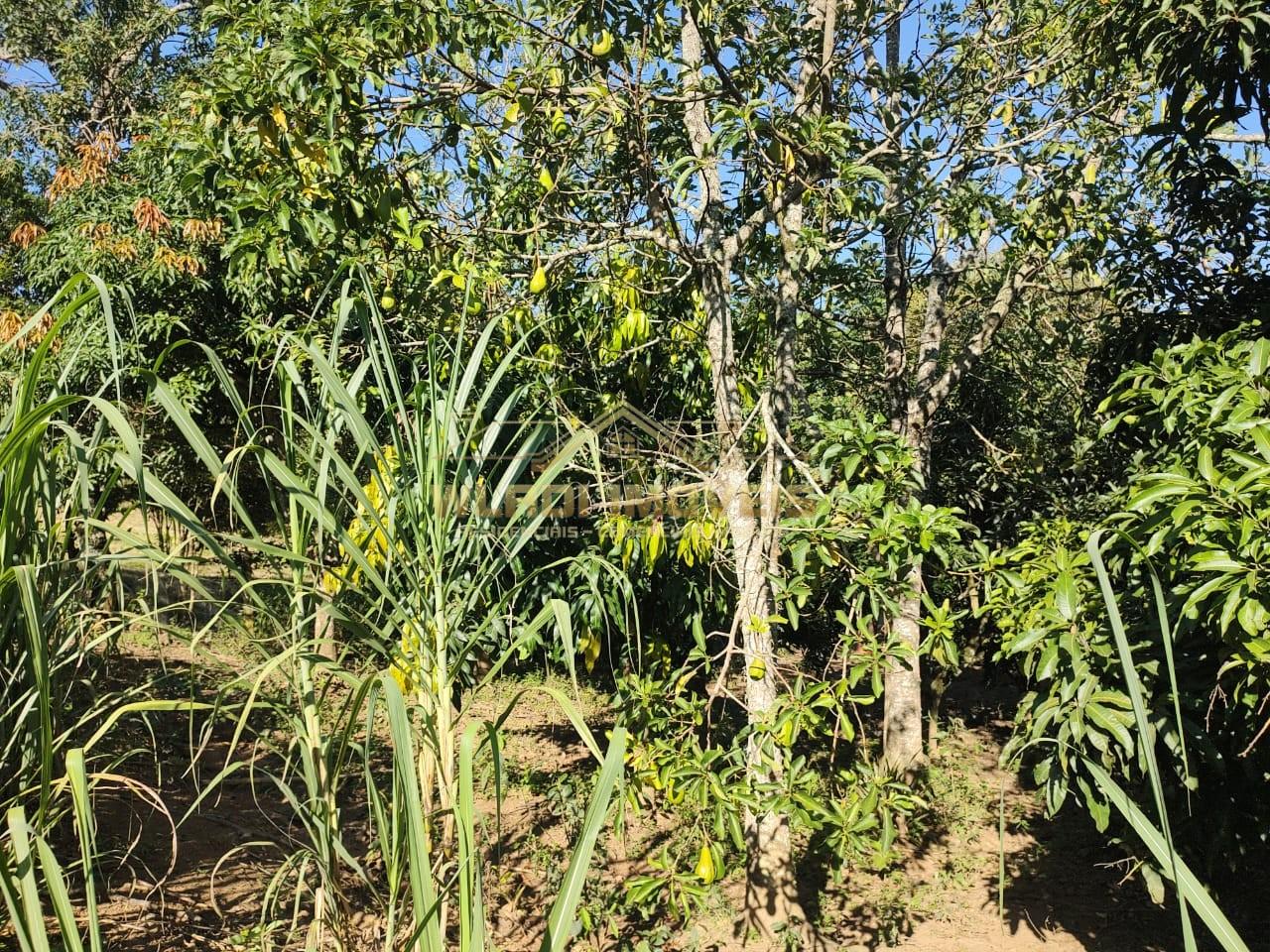 Chácara à venda, 5000m² - Foto 16