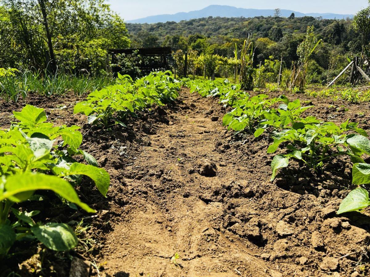 Fazenda à venda, 6300m² - Foto 44