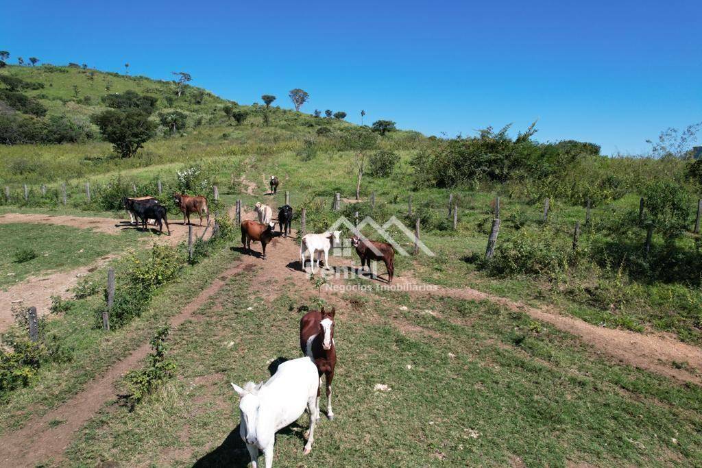 Fazenda à venda, 500m² - Foto 8