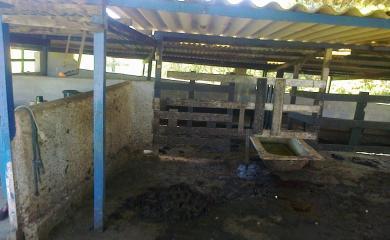 Fazenda à venda com 3 quartos, 40000m² - Foto 17