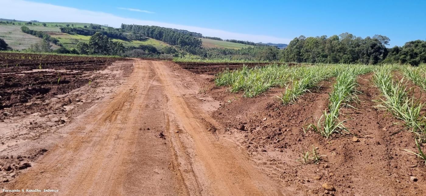 Fazenda à venda, 10m² - Foto 6