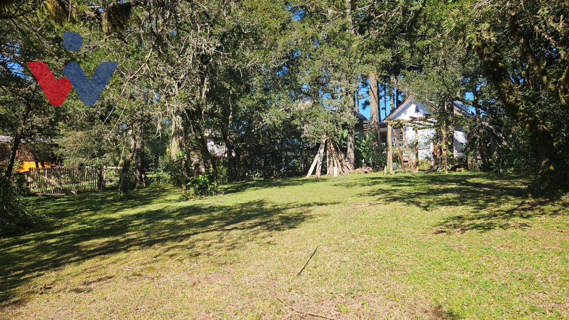 Chácara à venda com 4 quartos, 3700M2 - Foto 32