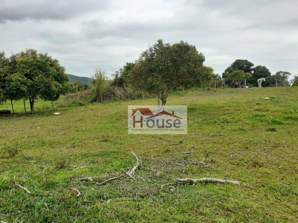 Terreno, 8000 m² - Foto 10