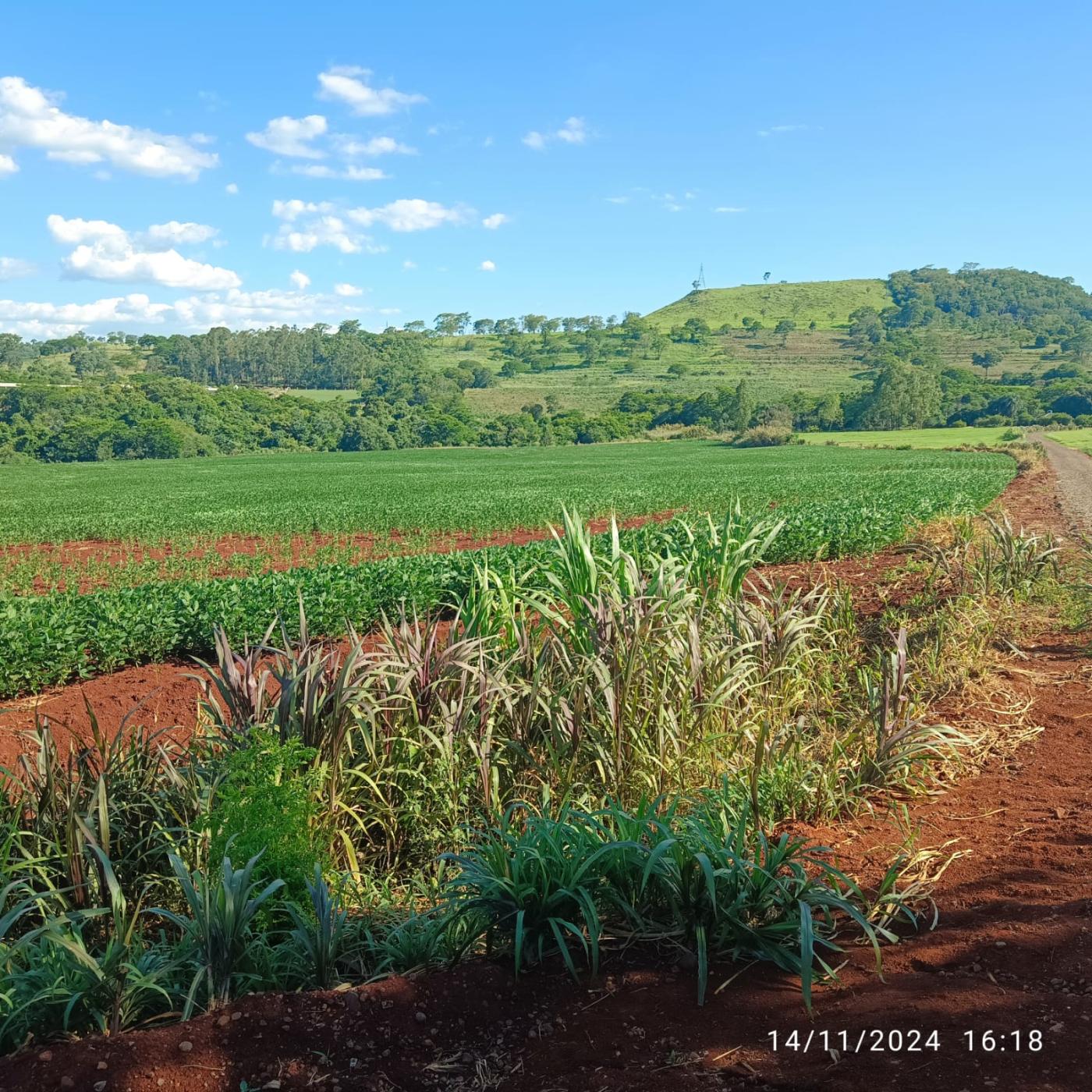 Fazenda à venda, 81160m² - Foto 4