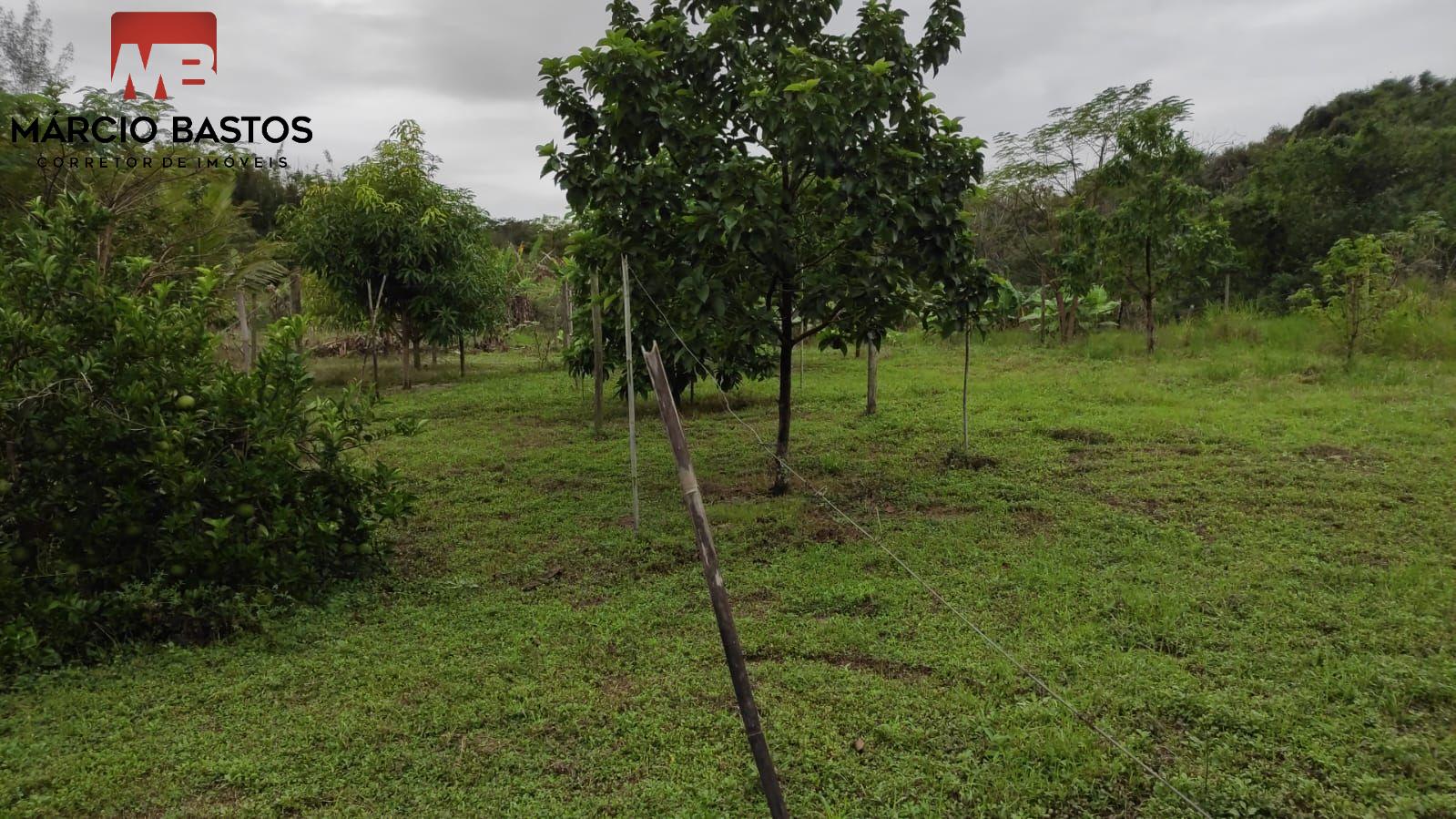 Fazenda à venda, 120m² - Foto 28