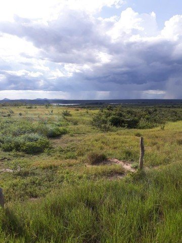 Fazenda à venda, 310000m² - Foto 6