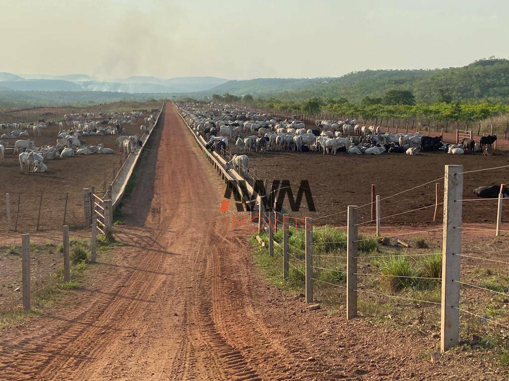 Fazenda à venda, 30000000M2 - Foto 1