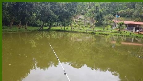 Fazenda à venda com 5 quartos, 24000m² - Foto 9