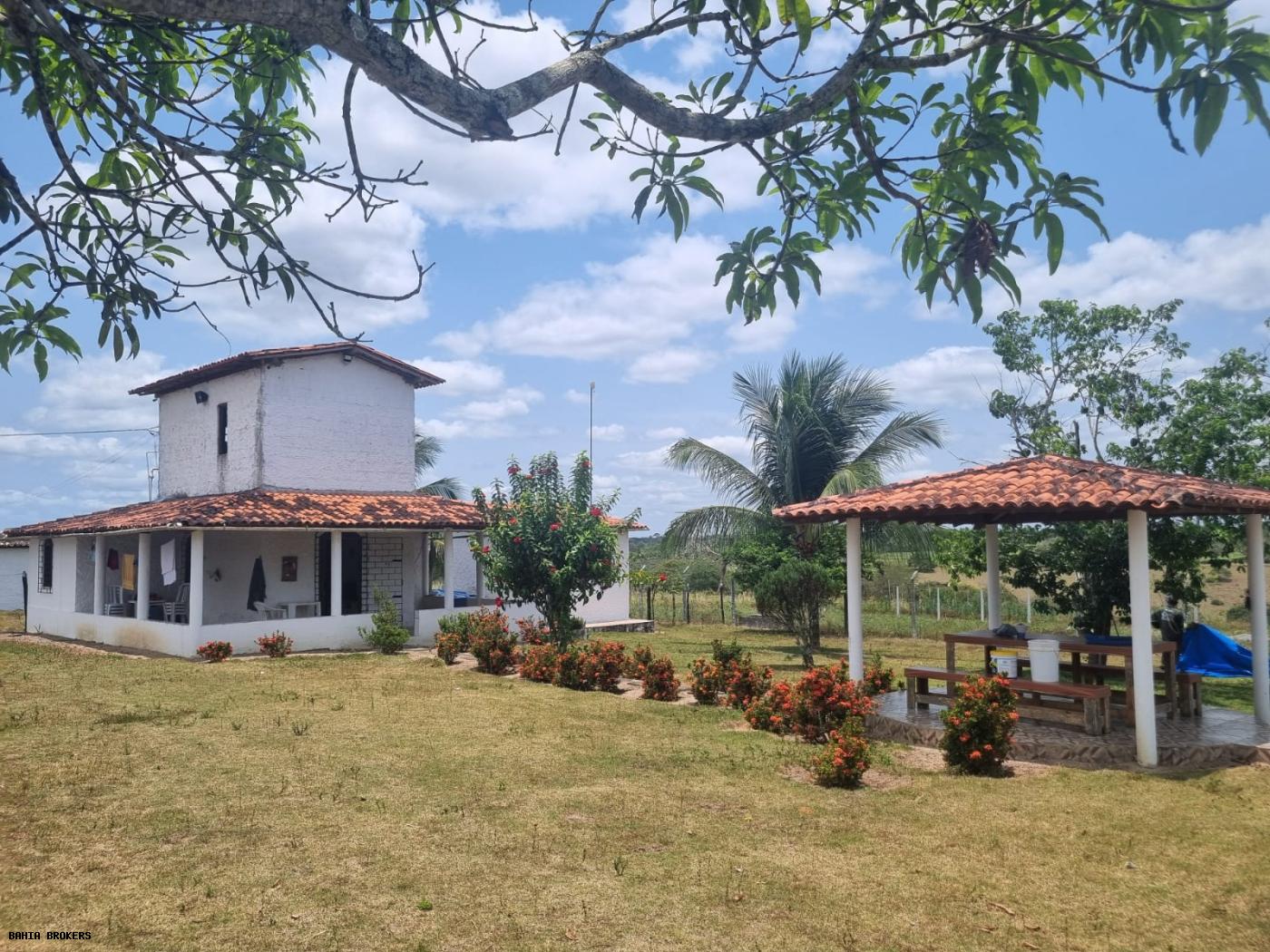 Fazenda à venda, 1000m² - Foto 40