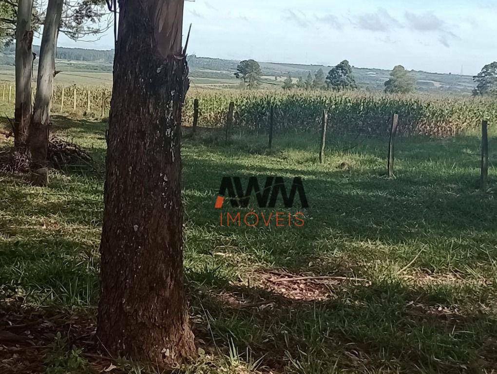 Fazenda à venda com 4 quartos, 820000M2 - Foto 32