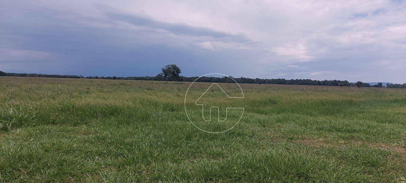 Fazenda à venda, 17960000M2 - Foto 1